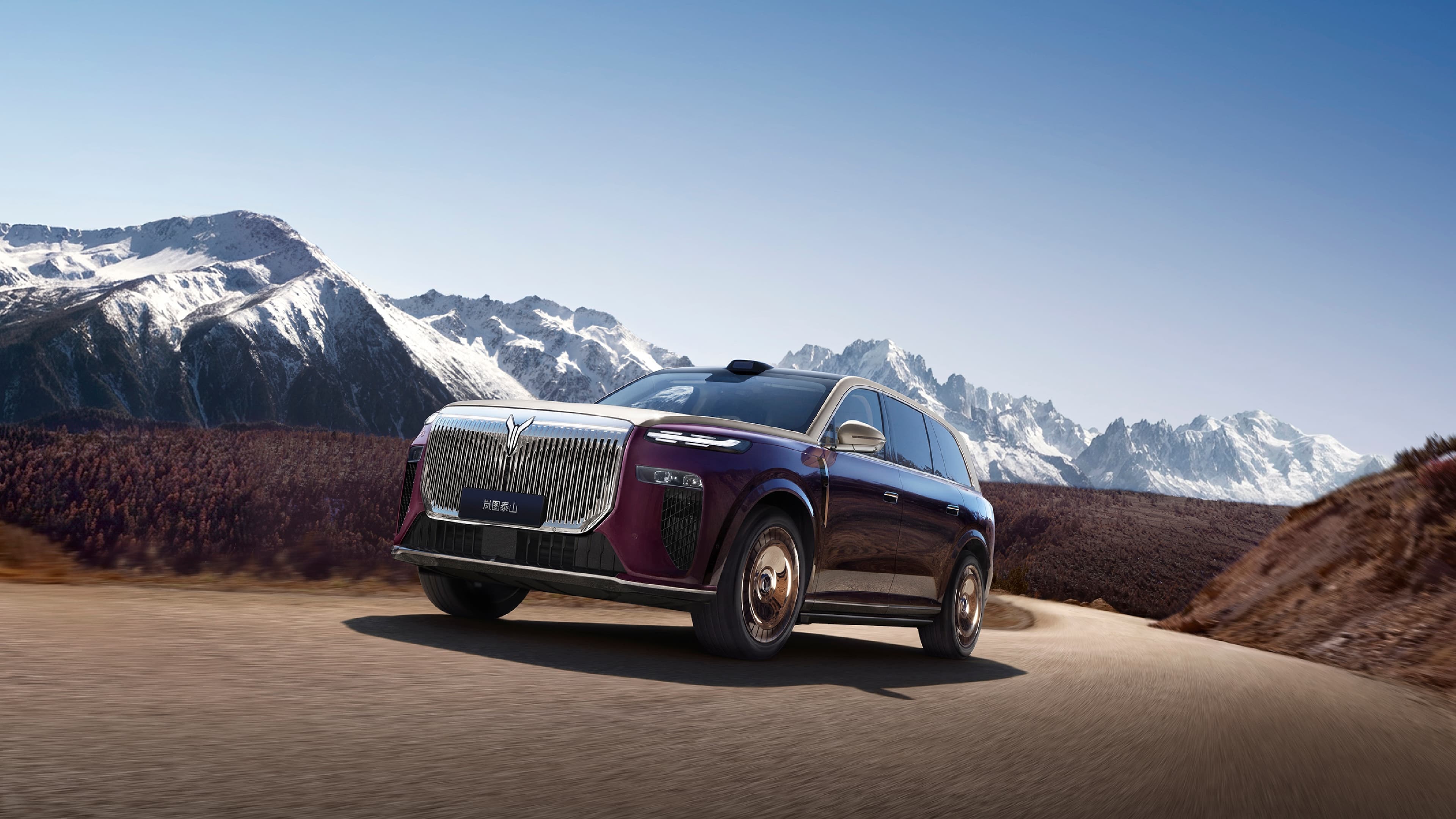Flagship SUV buyer fit